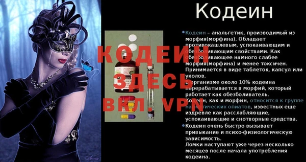 соль ск Пестово