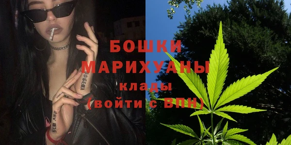 a pvp Пересвет